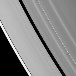 Saturn's moon Pan casts a delicate shadow onto the planet's A ring. NASA's Cassini spacecraft took this image on May 2, 2009.