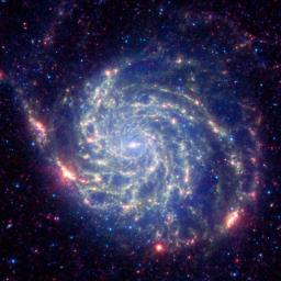The galaxy Messier 101 is a swirling spiral of stars, gas, and dust. Messier 101 is nearly twice as wide as our Milky Way galaxy in this image as seen by NASA's Spitzer Space Telescope.