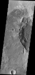 This image from NASA's Mars Odyssey shows the floor of Herschel Crater featuring a multitude of dunes. The crater on the right side of the frame contains a large sand sheet with dune forms, while the surrounding area is covered with individual dunes.