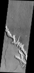 This 2001 Mars Odyssey spacecraft image shows a channel on Mars with extensive scalloping of its margins. The process of scalloping is widening the channel.