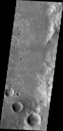 Odd rimmed depressions on Mars are located on the floor of this unnamed crater in Noachis Terra in this image from 2001 Mars Odyssey spacecraft.