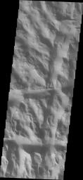 Dark slope streaks are common in Lycus Sulci on Mars in this image from 2001 Mars Odyssey spacecraft.