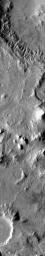 This daytime 2001 Mars Odyssey THEMIS infrared image clearly shows the multitude of channels dissecting the rim of Lipik Crater.