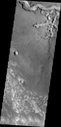 This 2001 Mars Odyssey spacecraft image shows a portion of Nirgal Vallis and a scalloped tributary channel on Mars.