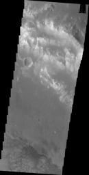 This image of Holden Crater shows some of the small dark dunes located on the floor of the crater on Mars as seen by NASA's Mars Odyssey spacecraft.