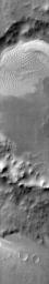 This daytime infrared image shows the large sand sheet on the floor of Charlier Crater on Mars as seen by NASA's Mars Odyssey spacecraft. The brightness is due to the warmth of the sand during the day.