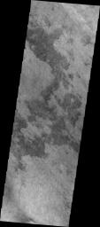 The dust devil tracks in this image are located in Terra Cimmeria on Mars as seen by NASA's Mars Odyssey spacecraft.