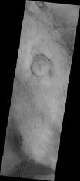 The dunes and dust devil tracks in this image are located on the plains of Planum Chronium on Mars as seen by NASA's Mars Odyssey spacecraft.