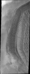 This daytime infrared image of Kaiser Crater shows warm dunes on the crater floor on Mars as seen by NASA's Mars Odyssey spacecraft.