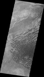 This 2001 Mars Odyssey image shows a portion of the extensive dune field in on the floor of Russell Crater on Mars.