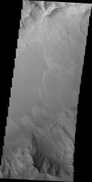 This 2001 Mars Odyssey image of Capri Chasma shows multiple landslide deposits on Mars.