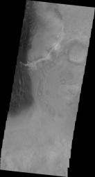 This 2001 Mars Odyssey image shows the eastern margin of the sand sheet and dune field on the floor of Rabe Crater on Mars.