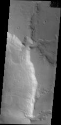 This 2001 Mars Odyssey image shows two channels entering an unnamed crater in Arabia Terra on Mars. The northern channel has formed a delta deposit on the floor of the crater.