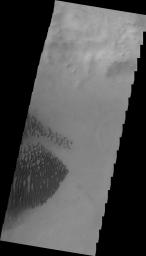 This 2001 Mars Odyssey image shows dark dunes on the floor of Lamont Crater on Mars.