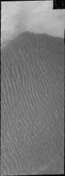 This 2001 Mars Odyssey image shows the sand sheet with surface dune forms located on the floor of Richardson Crater on Mars.