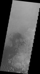 This 2001 Mars Odyssey image shows a portion of the dune field located on the floor of Kaiser Crater on Mars.
