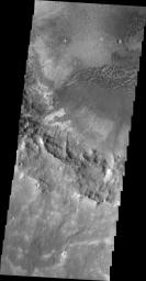 NASA's 2001 Mars Odyssey image shows a field of dark dunes on the floor of an unnamed crater in Terra Cimmeria.