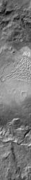 This image from NASA's Mars Odyssey shows a dune field located on the floor of Russell Crater on Mars.