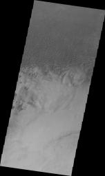This image from NASA's Mars Odyssey shows a dune field located on the plains east of Douglass Crater in Aonia Terra on Mars.