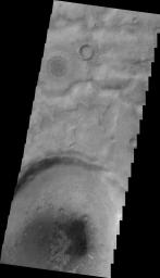 NASA's 2001 Mars Odyssey image shows a field of individual dunes in an unnamed crater in Aonia Terra.