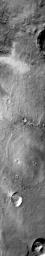 This image from NASA's Mars Odyssey shows several dune fields in the plains of Terra Cimmeria on Mars.