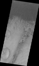 This image from NASA's Mars Odyssey shows individual dunes that are part of the large Aonia Terra dune field on Mars.
