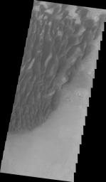 This image from NASA's Mars Odyssey shows part of the floor of Kaiser Crater including dunes on Mars. The floor of the crater is visible between the dunes.