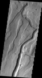This image from NASA's Mars Odyssey shows Tyrrhena Fossae on Mars, a large channel feature on the northern flank of Tyrrhena Mons.