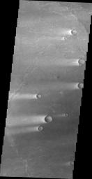 This image from NASA's Mars Odyssey shows windstreaks located in Syrtis Major Planum on Mars.