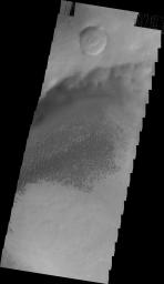 This image from NASA's Mars Odyssey shows a dune field on the floor of Brashear Crater on Mars.