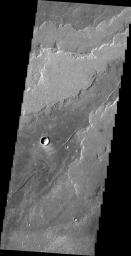 This image from NASA's Mars Odyssey shows lava flows of Arsia Mons.