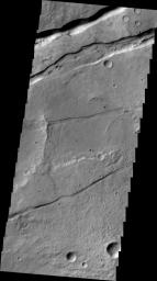 This image from NASA's 2001 Mars Odyssey spacecraft shows a small portion of Sirenum Fossae. The fractures of the Fossae are graben -- a downdropped block between two faults.