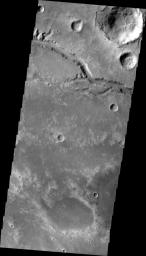 This image, taken by NASA's Mars Odyssey, shows a short section of Nirgal Vallis. Several tributaries are visible in this image.