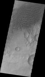 This image from NASA's 2001 Mars Odyssey shows a sand sheet with dune forms located northeast of Douglass Crater.