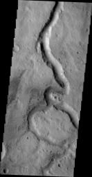 This image taken by NASA's 2001 Mars Odyssey spacecraft shows a portion of Scamander Vallis. Dark slope streaks are also visible on the west-facing wall of the channel.