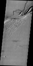 This image from NASA's 2001 Mars Odyssey shows a complex region of channels in Tharsis. Called Olympica Fossae, these channel forms were created by lava flows rather than water.