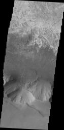This image taken by NASA's 2001 Mars Odyssey spacecraft shows a landslide deposit on the southern rim of Candor Chasma.