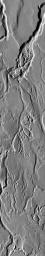 This daytime infrared image taken by NASA's 2001 Mars Odyssey spacecraft shows the numerous small channels that comprise Mangala Valles.