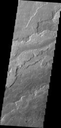 This image, taken by NASA's 2001 Mars Odyssey spacecraft, shows a small portion of the lava flows associated with Arsia Mons.