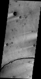 This image, taken by NASA's 2001 Mars Odyssey spacecraft, shows multiple craters with windstreak 'tails.'