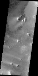 This image, taken by NASA's 2001 Mars Odyssey spacecraft, shows part of the floor of Ganges Chasma. Sand dunes and windstreaks indicate long term wind action in the area.