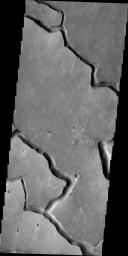 The channels in this image, taken by NASA's 2001 Mars Odyssey spacecraft, are called Hephaestus Fossae and were most likely formed by lava flow and erosion rather than being eroded by water.