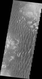 This daytime infrared image of Kaiser Crater, taken by NASA's 2001 Mars Odyssey spacecraft, shows the majority of the dune field located on the floor of the crater.