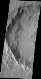 Many dark slope streaks are visible in this image of an unnamed crater in Terra Sabaea taken by NASA's 2001 Mars Odyssey spacecraft.