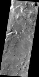 This image, taken by NASA's 2001 Mars Odyssey spacecraft, shows the western wall of Uzboi Vallis near the intersection of the vallis and Holden Crater. Many channels dissect the wall of the channel.