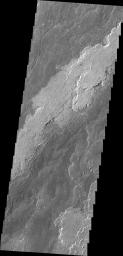 This image, taken by NASA's 2001 Mars Odyssey spacecraft, shows a portion of the lava flows associated with Arsia Mons.