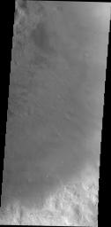 This image, taken by NASA's 2001 Mars Odyssey spacecraft, shows small individual dunes on the floor of Moreux Crater.