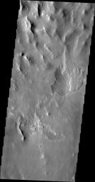 This image of an area south of Olympus Mons shows a region where the wind has been an active agent in modifying the surface. Small linear dunes cover the surface in this image taken by NASA's 2001 Mars Odyssey spacecraft.