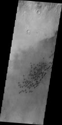 This image, taken by NASA's 2001 Mars Odyssey spacecraft, shows part of the floor of Arkhangelsky Crater. Small individual dunes are found in this region of the crater floor.
