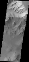 Several landslide deposits are visible in this image of Coprates Chasma taken by NASA's 2001 Mars Odyssey spacecraft.